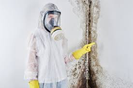 Why You Should Choose Our Mold Remediation Services in Junction City, KS